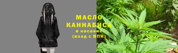 молекула духа Арсеньев