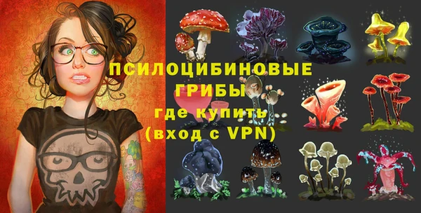 гидра Армянск