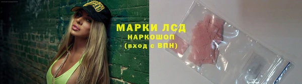 молекула духа Арсеньев