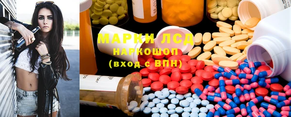 молекула духа Арсеньев