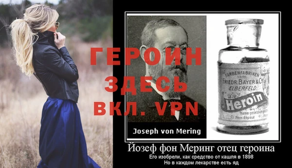 молекула духа Арсеньев