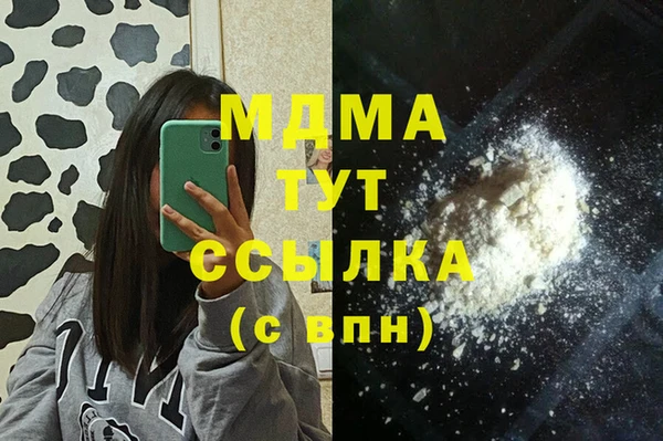 молекула духа Арсеньев