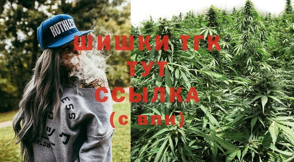 молекула духа Арсеньев