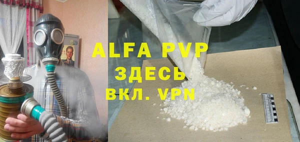 молекула духа Арсеньев