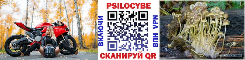 Галлюциногенные грибы Cubensis  Скопин 